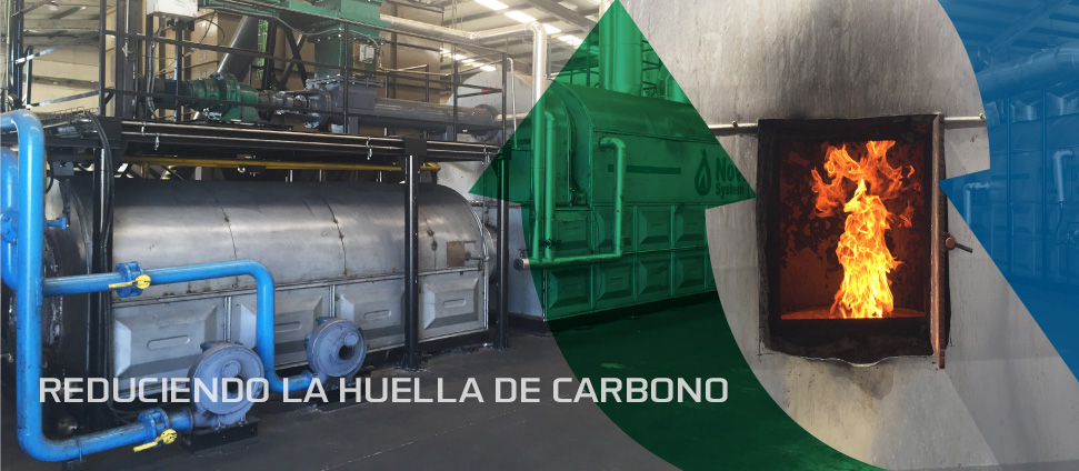Img-Proceso