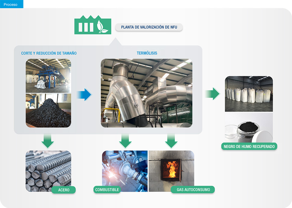 Grafico-Proceso-Es-2025-1